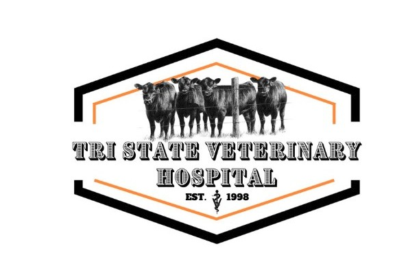 Tri-State Veterinary Hospital cattle hexagon logo