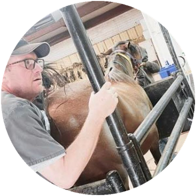 Dr. Kyle Taylor working on a horse at Tri-State Veterinary Hospital
