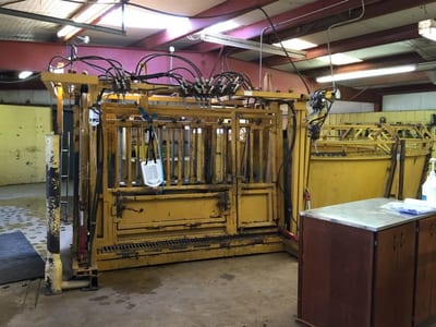 Livestock handling equipment at Tri-State Veterinary Hospital